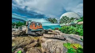 The Seas with Nemo and Friends Ride POV/Seabase Tour/Manatee/Sea Turtles/Sharks & Rays/Invertebrates