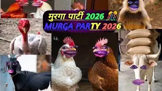 🐓 Murga Party 2026 😂 | Bandar Bakri🤣 Bail Full Comedy #funny