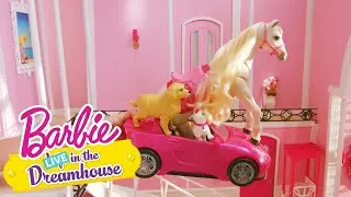 Feliz día del baño | Barbie LIVE! In The Dreamhouse | Barbie Latinoamérica