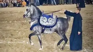 المركز الاول الشيخ بدوي الدبوس و الفارس عبدالرحمن كرم سرحان في بطولة المنوفية 2022