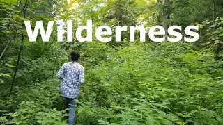 SURVIVING First Overnight on NEW OFF GRID LAND |  WINTER CAMPING ❄️ | Why did we buy it?