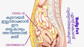 Types of Body Fat - Visceral Fat ( Belly Fat)Vs Subcutaneous Fat/Most Dangerous/How to get rid of it