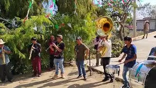 Banda San Marcos mañanitas a la virgen inmaculada concepción 07 Diciembre 2025 temalacatzingo 