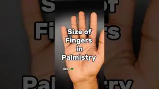 Size of Fingers in PALMISTRY #palmistry #palmist #thegemstonepalmist #palm #hand #zodiac #astrology