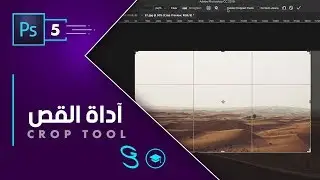 Photoshop Fundamentals 