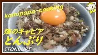 【秋田名物とんぶりご飯】秋田名物畑のキャビア、とんぶりを美味しく食べます