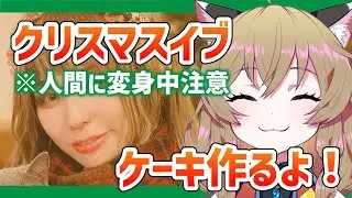 【クリスマスイブ】※実写注意｜猫ちゃんケーキを作りたい【南登かなる】