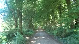 The Return to Velvet Bottom, Part V,'Ubley Warren Nature Reserve'by Sheila Sept 6th 2021