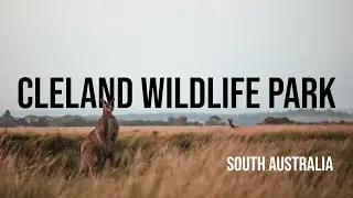 Cleland Wildlife Park-Adelaide, Australia