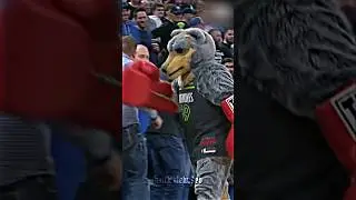 The Mascot is ready to Fight 😂🔥