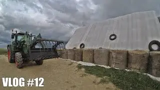 Codzienne obowiązki u byczków ☆ Jak okryliśmy siano w stogu??? SERWATKOWY VLOG #12