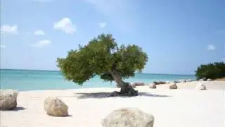 BMW Aruba ta Hott