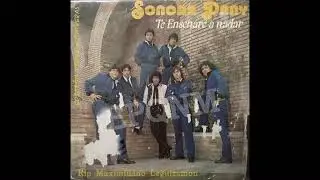 SONORA DANY - Te Ense&ntilde;ar&eacute; A Nadar / B&eacute;sense (1985) Rip L.P.
