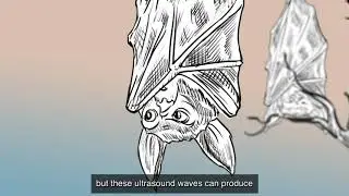 Low intensity Focused Ultrasound -