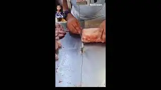 MEAT CUTTING CUBE MACHINE &ndash; SATISFYING PROCESS LIVE | BUSINESSIDEASBYBELLA&rdquo;