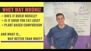Is Whey Protein Necessary | For Beginners