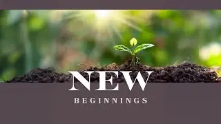 New Beginnings - Part 1 - In the Beginning