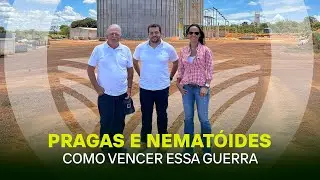 PRODUZ - EP. 63 | A batalha contra as pragas da soja começou