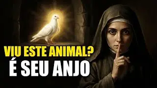 4 ANIMAIS SECRETOS QUE INDICAM A PRESENÇA DE UM ANJO - NUNCA TE CONTARAM