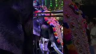 മാങ്ങാട്ടിരി അയ്യപ്പൻ വിളക്ക് മഹോത്സവം / mangatiri ayyappan vilakku maholsavam