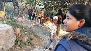 Jungle Trail - New Picnic Spot in Noida Fun Park 