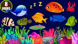 Sleep Instantly Within 3 Mins ♥ Mozart Brahms & Lullaby ♫ Lullaby for Babies to Go to Sleep Fast#210