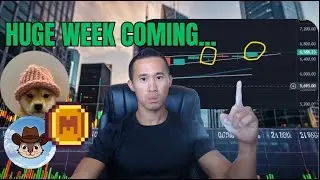 Huge Week Coming For Crypto! Latest WIF PNUT MEME Altcoin Price Predictions & News
