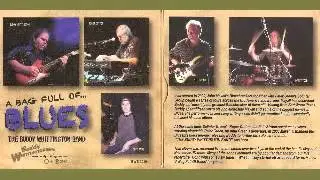 Buddy Whittington Band - 2010 - A Bag Full Of Blues - 2010 - Pieces And Parts - LESINI BLUES