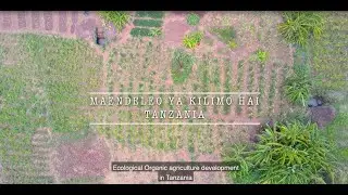 Ecological Organic agriculture development in Tanzania