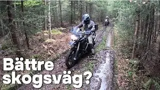 Ännu en fin skogsväg