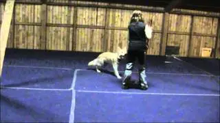 Freestyletr&auml;ning med speedad fr&ouml;ken gaphals....