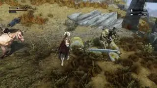 Skyrim - Akaviri Mod