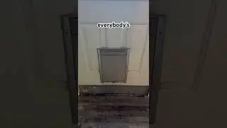 Что же случилось с дверцами для собак?