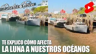 Hoy SI QUE VAS A ENTENDER LAS MAREAS 🌒