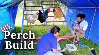 DIY Chicken Roost Ladder & The Great Chicken Shuffle Begins