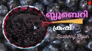 💯How To Make Blueberry Crush Recipe || Easy Blueberry Crush/Thick Sauce/ Jam Recipe | Homemade Crush