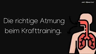 Die richtige Atmung beim Training Wie atmet man beim Krafttraining Fitnesstraining