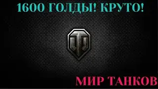 Жена довольна. Дети сытые. Многодетный отец отдыхает!!! Let's Go for Gold  WOT!!!