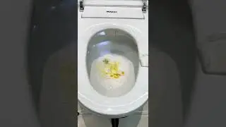 Wave goodbye to toilet paper. Hello water efficiency and hygiene!
