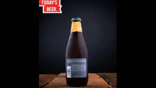 anchor steam beer