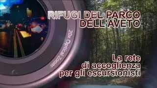 Direttamente su... 