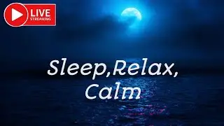Why Do People Sleep Instantly with Ocean Sounds at Night❓ 🌊💤ASMR Ocean Wave Sounds 🌊 😴🧘