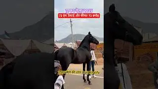Pushkar Mela Fair 2025 Burj Khalifa price 72Cr🤑#shorts #pushkarmela2025 #pushkar #pushkarvlog
