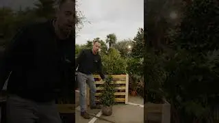 Groene kracht in compacte vorm!