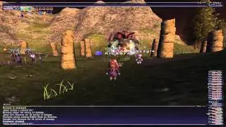 FFXI Briareus battle