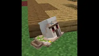 SMP Minecraft: The Nether and the City