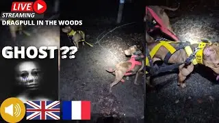 DragPull dans la For&ecirc;t la NUIT en Live + Astuces & BONUS [ DMX ] FR-ENG