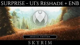 DOWNLOAD MY ULTIMATE IMMERSION' RESHADE AND ENB PRESETS | Skyrim SE Ultra High Graphics | GTX 1080