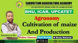 Agronomy, Cultivation of maize and Production For BHU, ICAR, UPCATET, BSc Ag by Kanahiya Sir