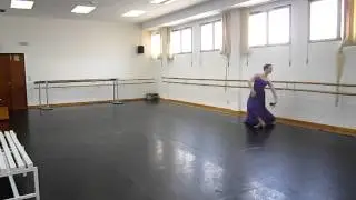 Helena Peña - Ensayo 